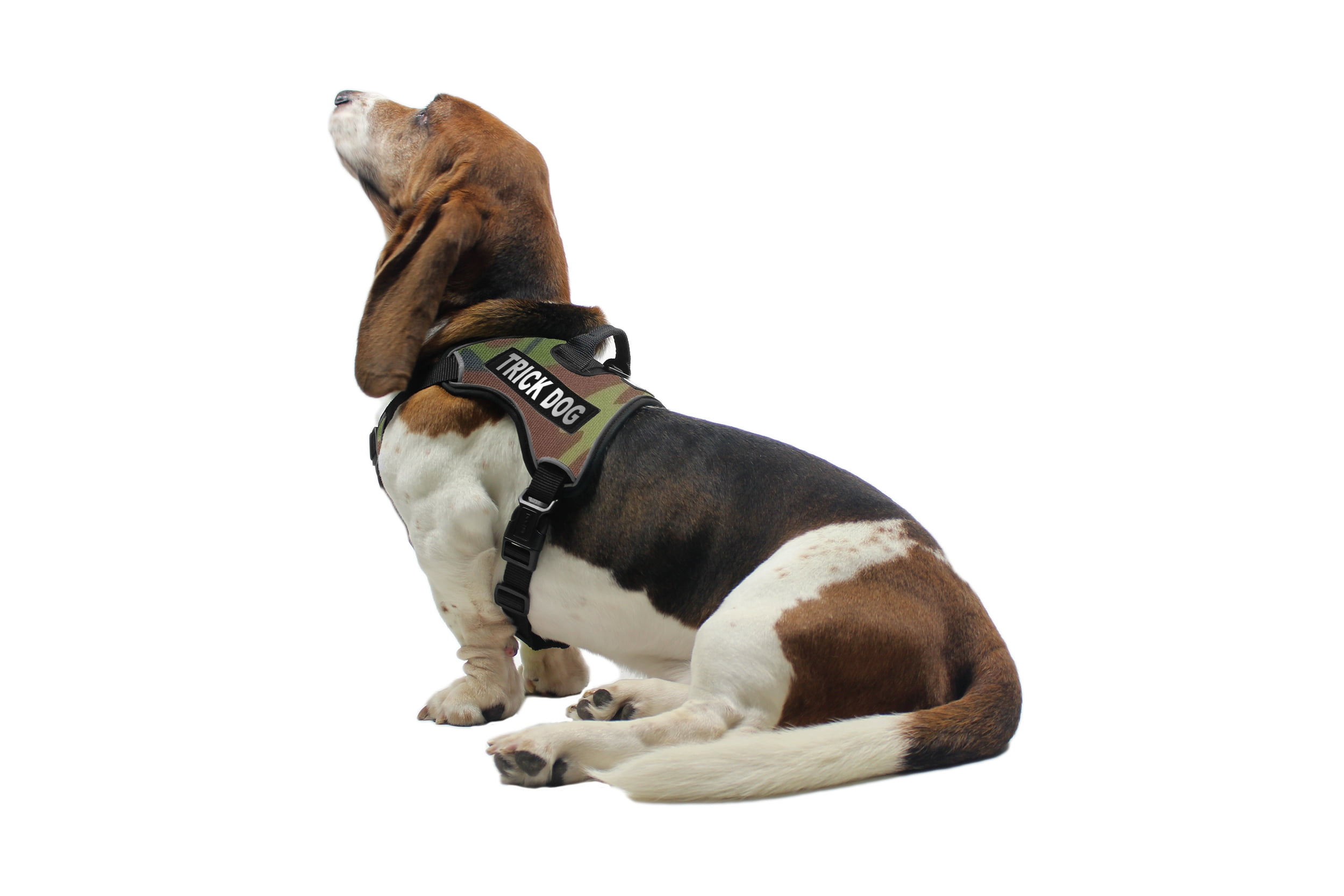 quick release dog harness