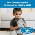 thumbnail image 5 of Dr. Brown's Milestones Straw-to-360 Convertible Toddler Cup Set, Blue/Green, 10 oz, 9m+, 1 Pack, 5 of 17