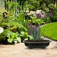 thumbnail image 4 of unbranded 4Ud Maceteros Grandes Ovalados De Plástico Para Bonsái De Jardín Interior Y Exterior Color Negro, 4 of 8