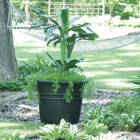 Aqua Pot - Phoenix Planter