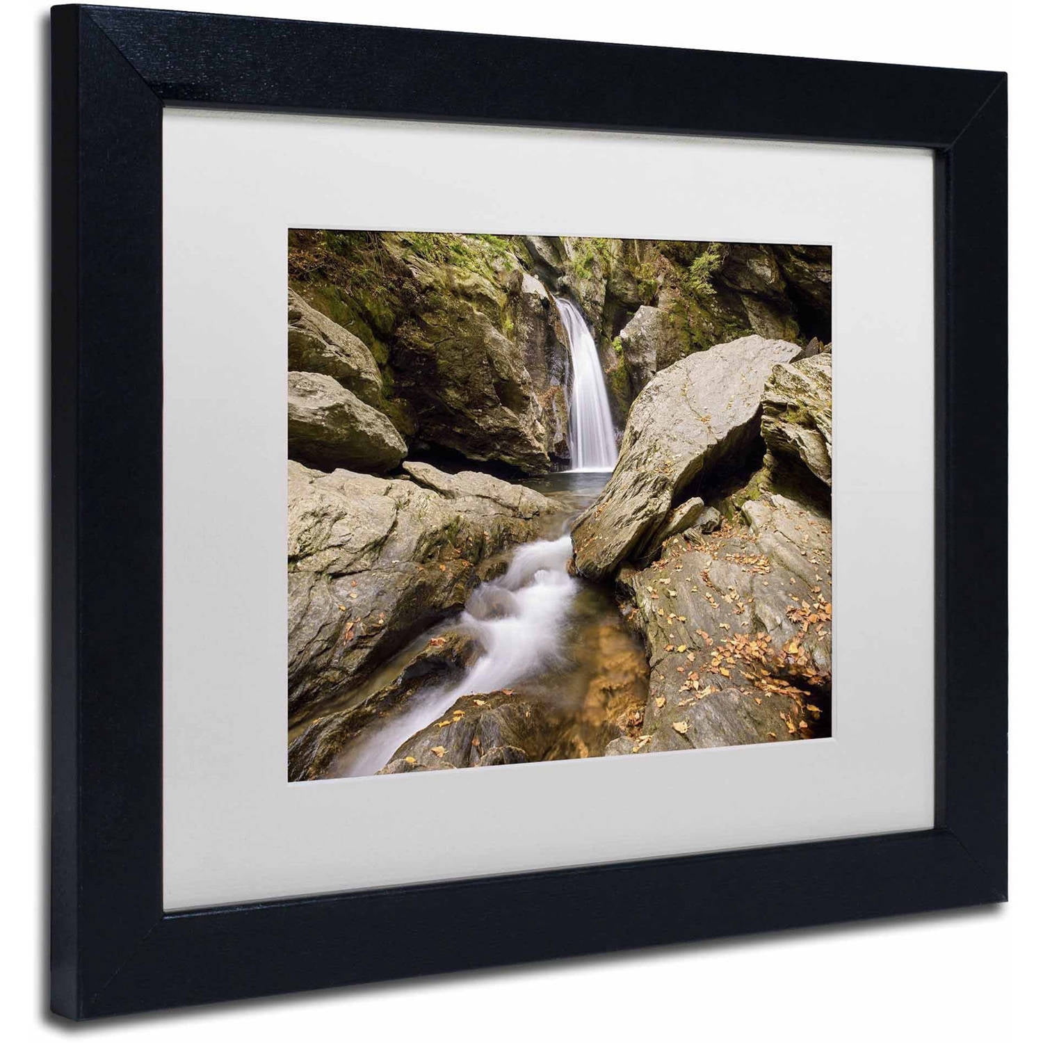 Trademark Fine Art 'Over and Under' Canvas Art by Michael Blanchette Photography, White Matte, Black Frame