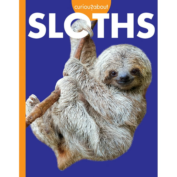 Curious about Wild Animals: Curious about Sloths (Paperback) 