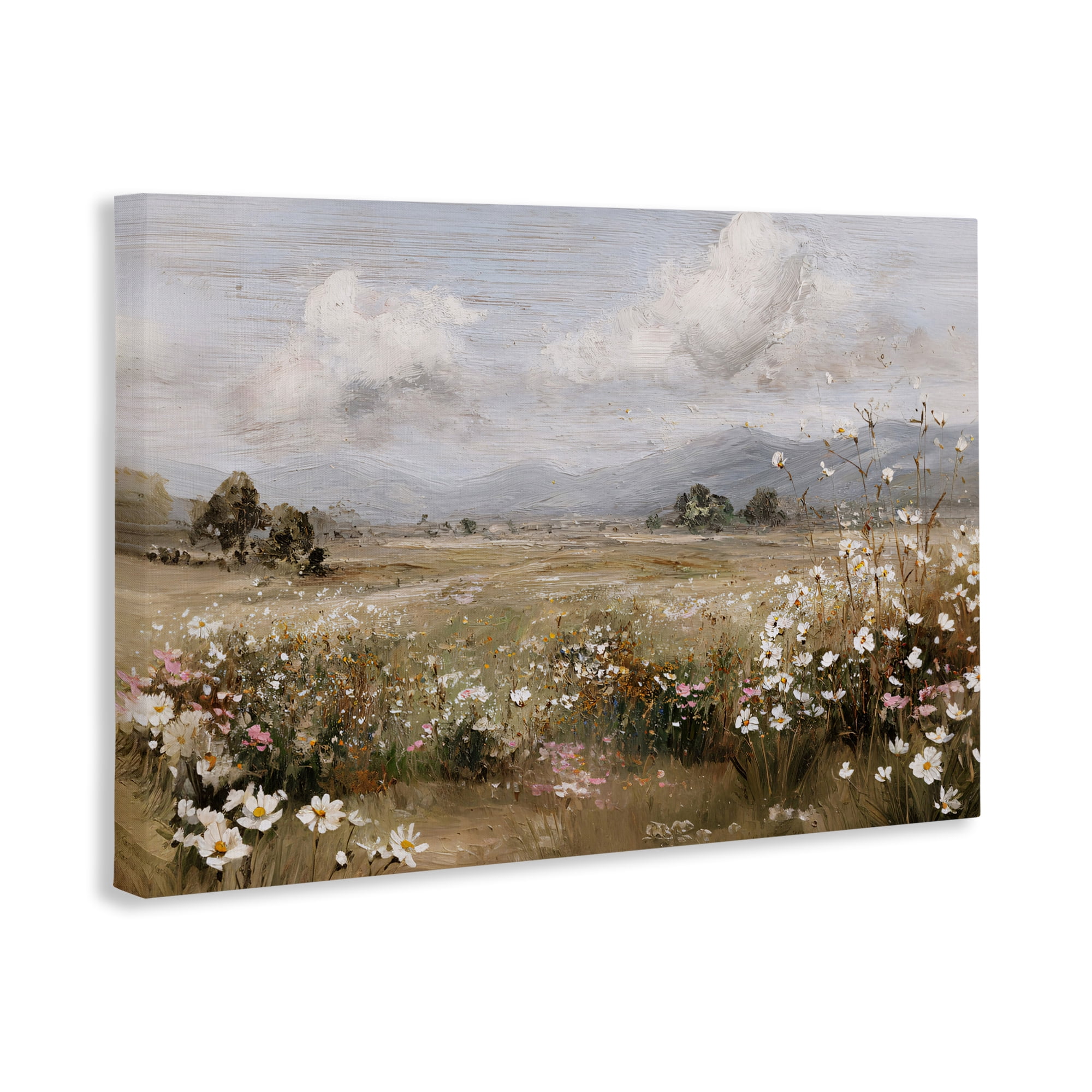 Stupell Industries Daisy Clusters in Field Canvas Wall Art, design by Jacky Ngan