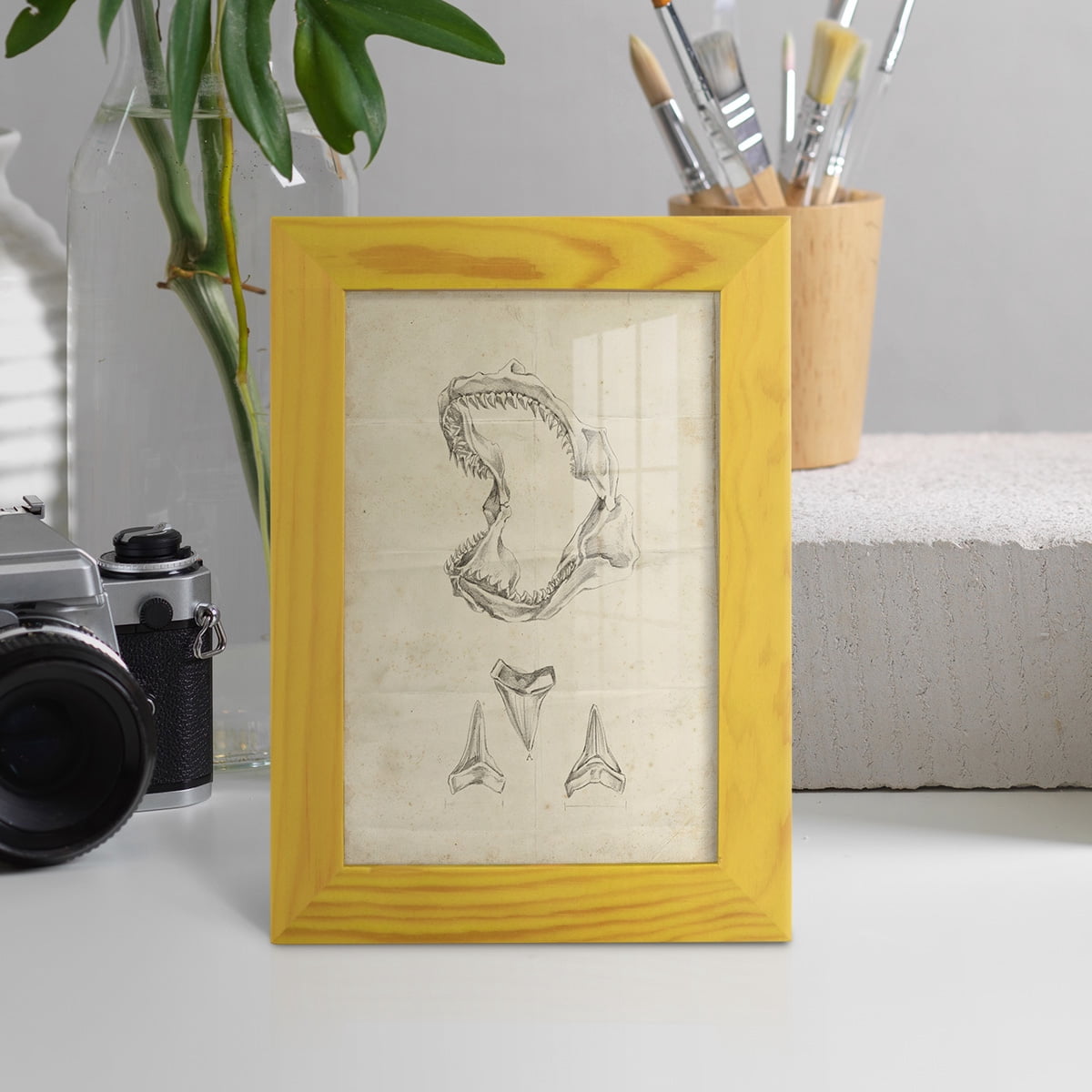 Shark Study II - Framed Print w/glass - Sunflower Yellow