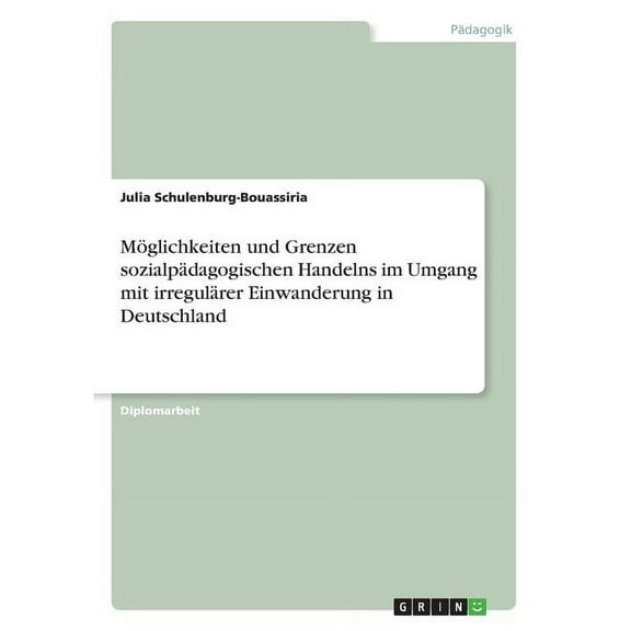 M�glichkeiten und Grenzen sozialp�dagogischen Handelns im Umgang mit irregul�rer Einwanderung in Deutschland