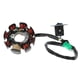 thumbnail image 1 of Estator de encendido por magneto  estanqueidad al aire Bobina de estator por magneto confiable profesional Cobre para motor de 125 cc 150 cc 152QMI 157QMJ ANGGREK Otros, 1 of 8
