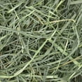 thumbnail image 2 of OxBow Foin de Dactyle pour Petits Animaux, 144oz / 9lb, 2 of 7