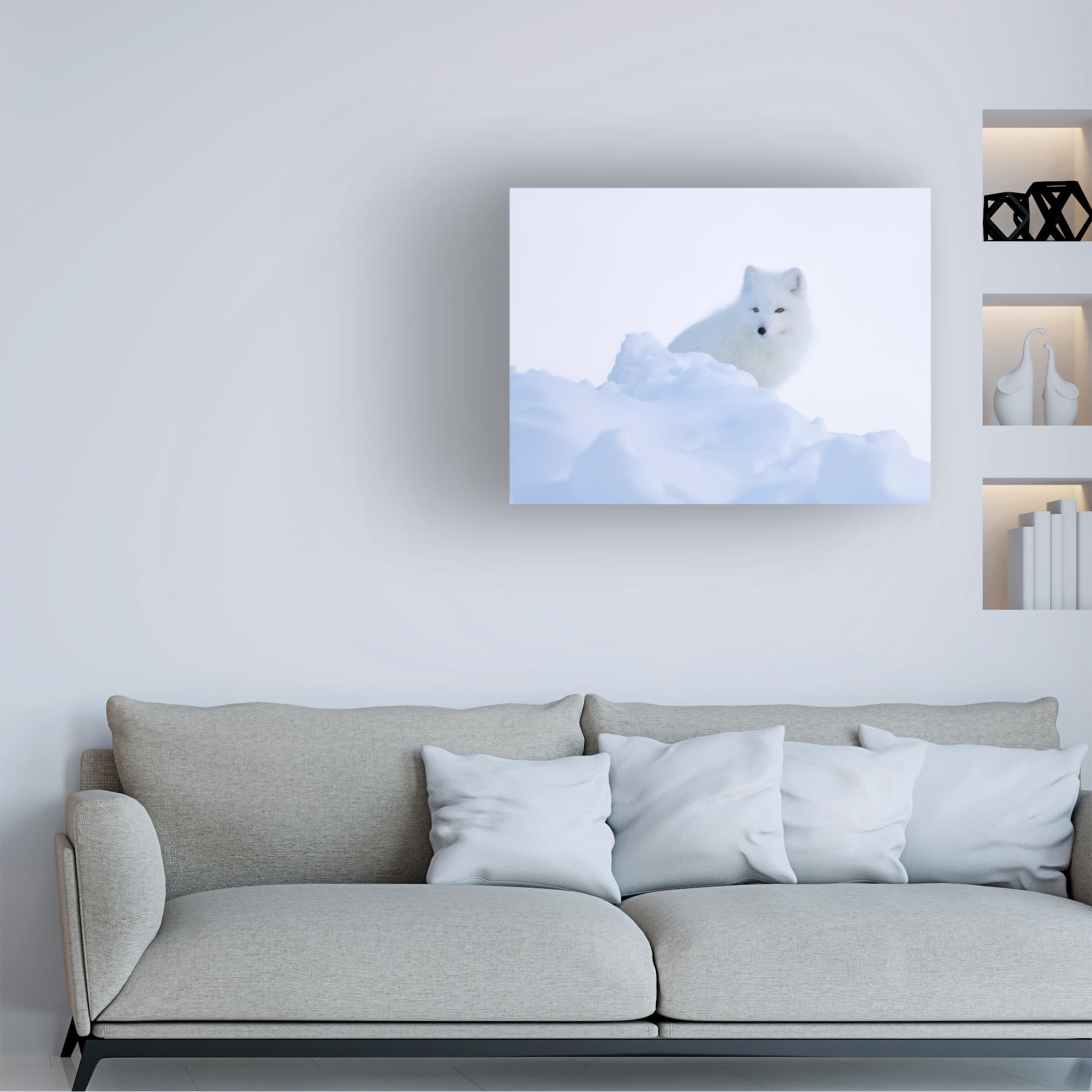 Trademark Fine Art Andrea Haase LI White fox Canvas Wall Art