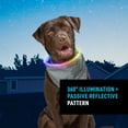 thumbnail image 2 of Nite Ize NiteHowl Bandana Rechargeable LED Safety Necklace - Adjustable Dog Accessories for Safety - Dog Collar with LED Light & Reflective Bandana - Dog & Puppy Supplies - Grey, 2 of 8