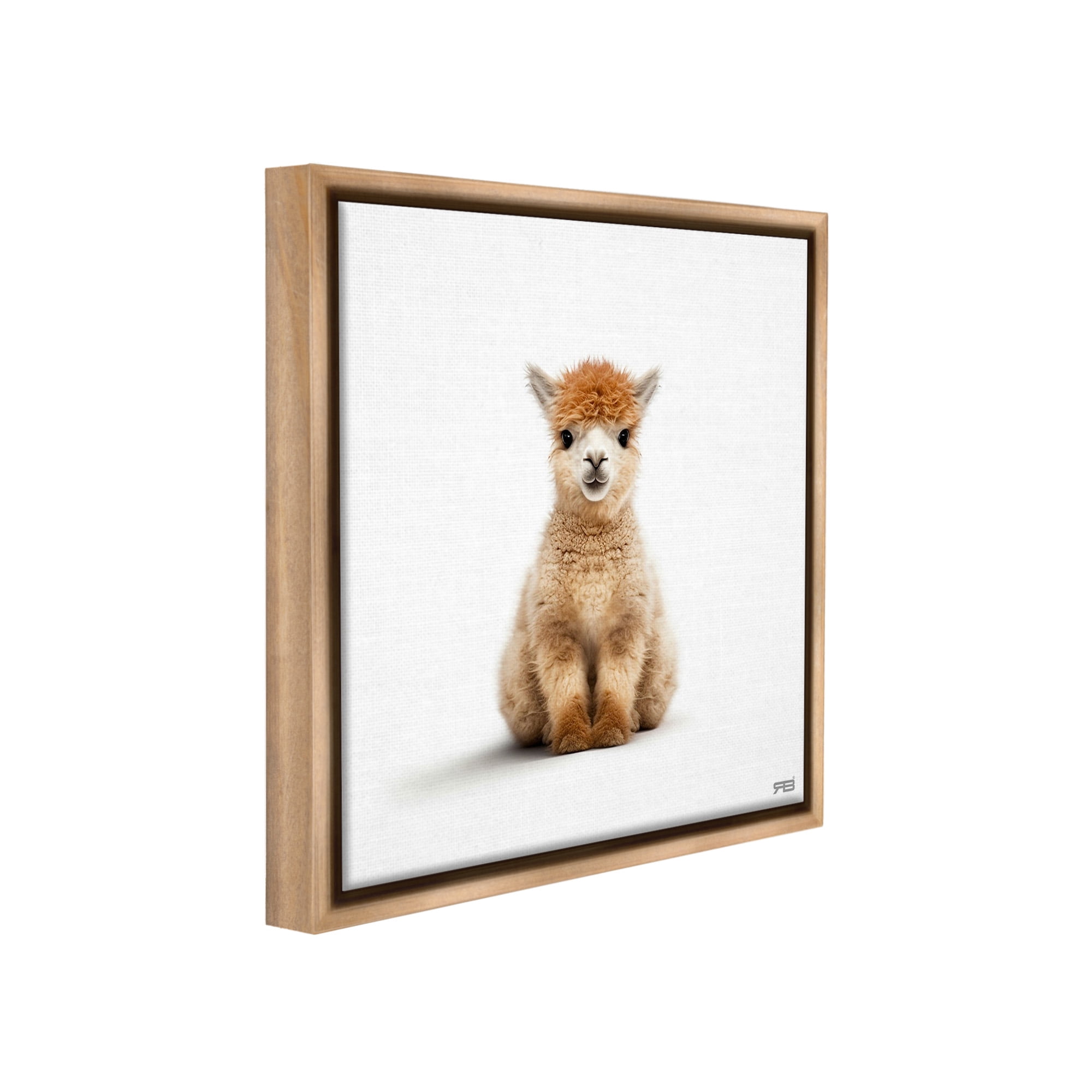 Stupell Industries Baby Alpaca Portrait Animals & Insects Painting Brown Floater Framed Canvas Art Print Wall Art, 25 x 25
