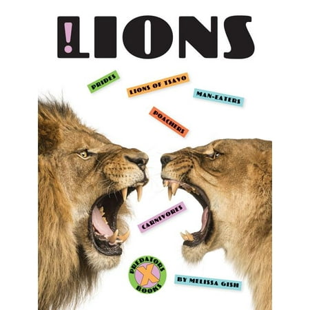 X-Books: X-Books: Lions (Paperback)