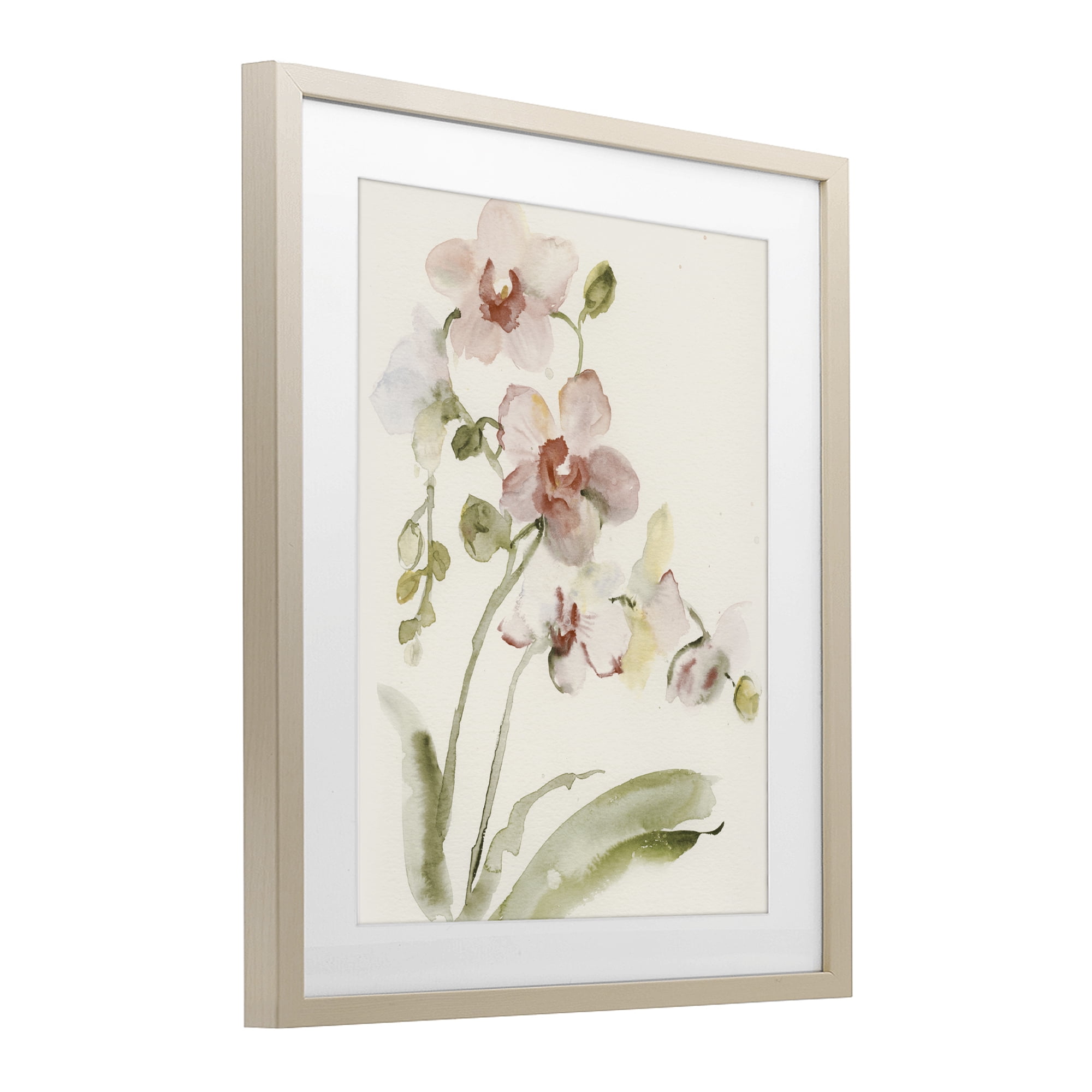 Stupell Industries Gentle Pink Orchid in Bloom Birch Framed Print Under Glass, design by Victoria Barnes