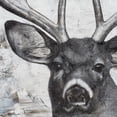 thumbnail image 2 of Cusson, Marie Elaine 15x15 White Modern Wood Framed Museum Art Print Titled - Deer Portrait, 2 of 4