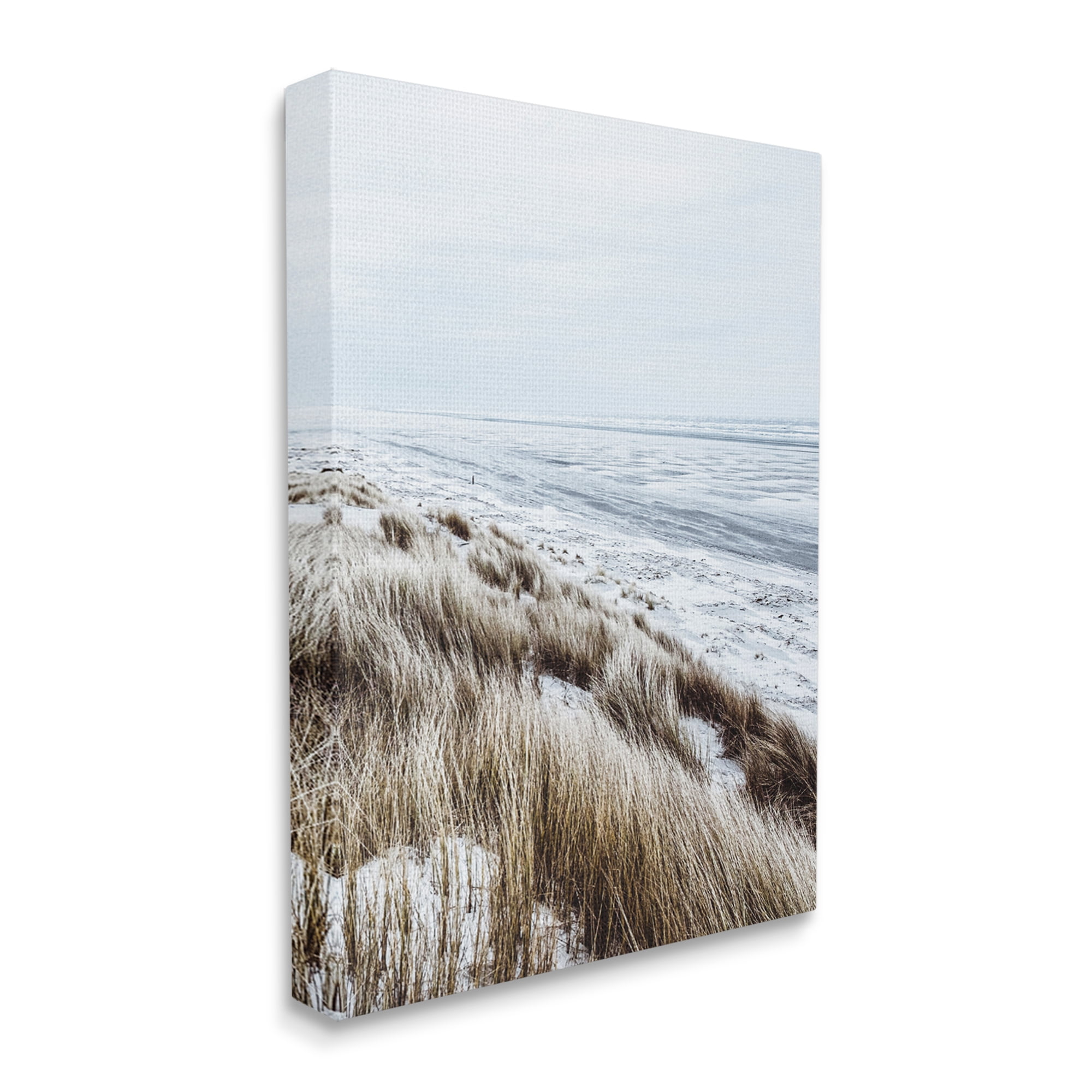 Stupell Industries Beach Reeds Landscape Nature Photography Gallery Wrapped Canvas Print Wall Art, 36 x 48