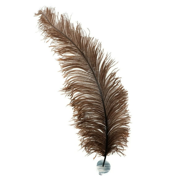 18-24" (46-61 cm) 1/4 lb Natural Brown Feather Wedding Centerpiece Decor - Spads