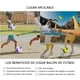 thumbnail image 2 of Balón de Fútbol Soccer MORNWELL WEGO Classic Profesional No. 5, 2 of 8