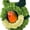 Lovebird Nest - Green, variant on Lovebird Nest, Bird Breeding Bed Parrot Snuggle Hut Conure House for Budgie Cockatiel Conure Lovebird Canary Finch Hamster Small Pets
