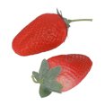 thumbnail image 1 of Juguete de percusión de frutas, maraca de frutas, sonajero de aprendizaje para bebés, maraca de frutas, estándares líderes en la industria, 1 of 14