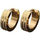 thumbnail image 1 of Golden Pendientes Huggie de círculo plano esmerilado de acero inoxidable Unisex a la moda, joyería de fiesta para mujeres, hombres, niñas y niños, 1 of 5