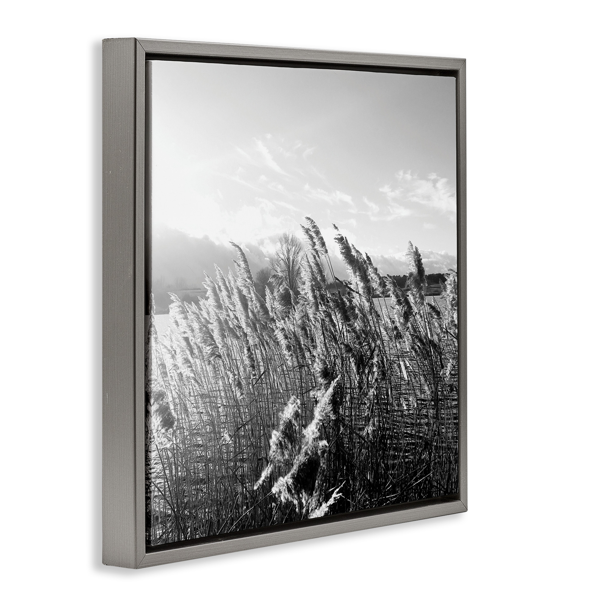 Stupell Industries Tall Grass Lake Water Landscape Landscape Photography Gray Floater Framed Canvas Art Print Wall Art, 25 x 25