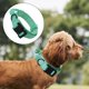 thumbnail image 4 of Collar de perro Gloria Collar de entrenamiento para medianos y grandes L Verde, 4 of 8