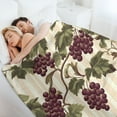 thumbnail image 6 of Vintage Grape Vines Stripes Super Soft Blanket Flannel Throw Blanket Flannel Microfiber Blankets for Couch Bed Sofa Fluffy and Warm 60"x80", 6 of 9