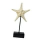 thumbnail image 3 of Estatua de estilo playero, adorno de mesa, decoración del hogar, delicada figura artística del océano Estrella de mar, 3 of 9
