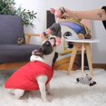 thumbnail image 5 of Juguetes para cachorros de perro, suministros para mascotas, juguetes para masticar para mascotas, forma de animal, chirrido, limpieza para perros pequeños y medianos, accesorios de entrenamiento, s, 5 of 5