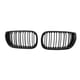 thumbnail image 1 of Rejilla De Doble Línea De Rejilla De Capó De Parte Superior Frontal Elegante Brillante Para Protección De Coche Speravity VI006875-00, 1 of 7