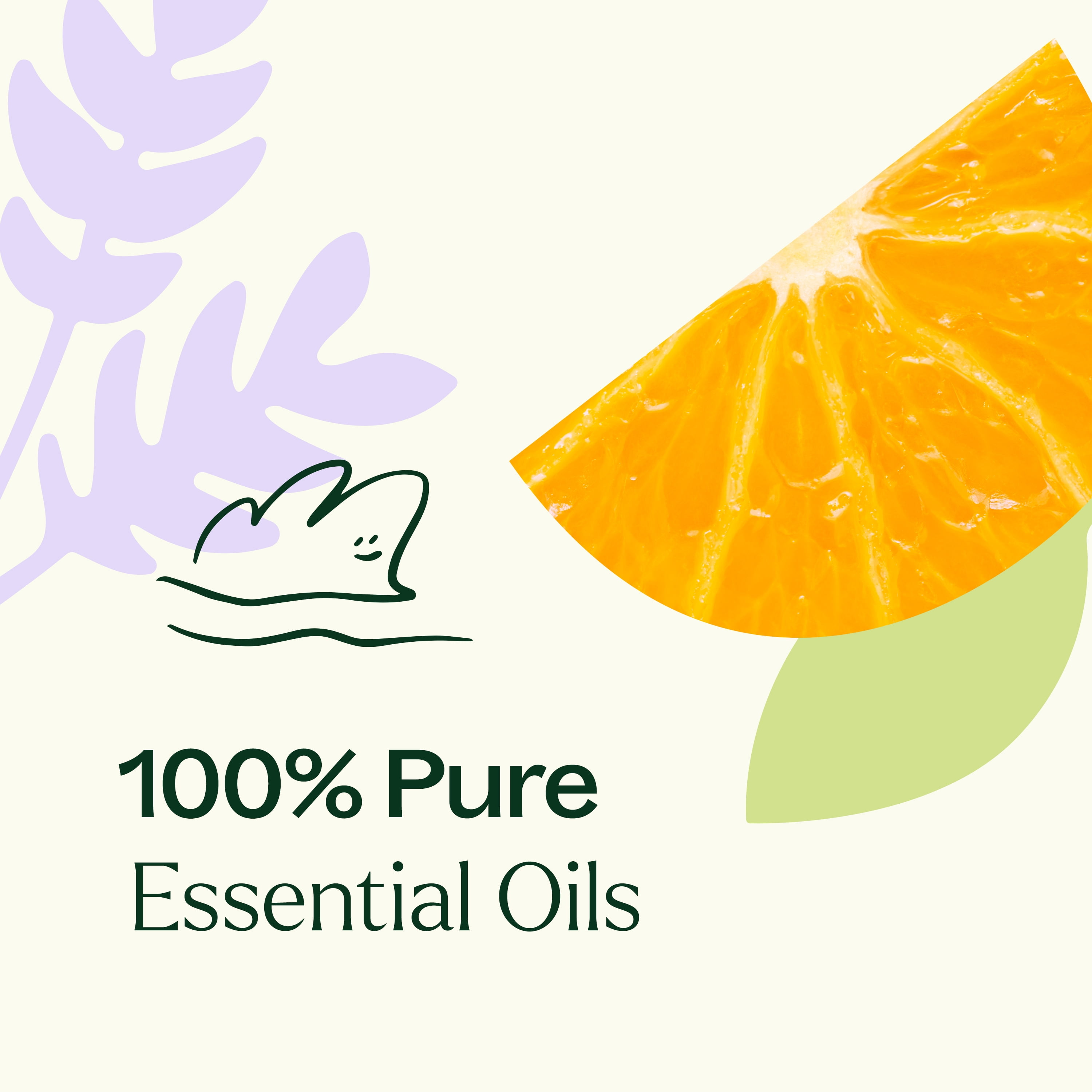 Plant Therapy Meditation Essential Oil Blend 10 mL (1/3 oz) 100% Pure, Undiluted, Natural Aromatherapy