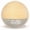 Gray, variant on Sunrise Alarm Clock with Snooze, White Noise Sound Machine & Night Light - Dimmable Digital Clock for Bedroom, 7 Wake-Up Sounds, 9-Min Snooze, 7 Color Mood Lights, Ideal for Heavy Sleepers