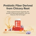 thumbnail image 4 of O Positiv URO Prebiotic Fiber Gummies for Digestive Gut Health and Regularity, 50 Count, 4 of 9