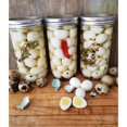 thumbnail image 5 of FARM FRESH Quail Eggs *Laid in the U.S.* Hormone Free; Non-GMO - (12+ Ct), 5 of 5