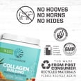 thumbnail image 5 of (2 pack) Sunwarrior Vegan Collagen Salted Caramel Protein Powder with Biotin & Hyaluronic Acid 20 Servings, 5 of 9