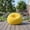 Yellow, variant on ROFIEJOX Premium Bean Bag Sofa – 31.5" Fluffy Chenille Lounge Chair, Teen & Adult Seat, Yellow