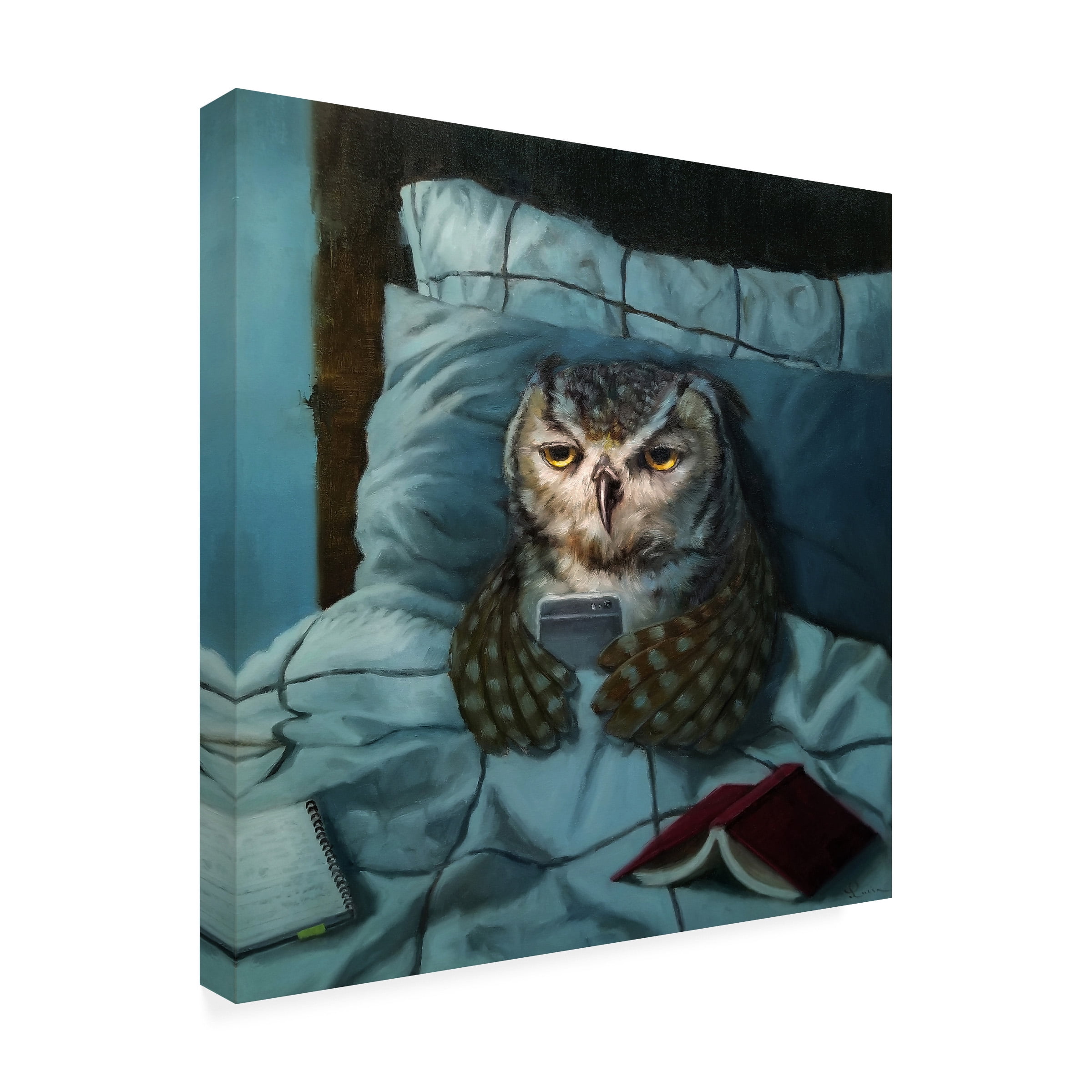 Lucia Heffernan 'Night Owl' Canvas Art