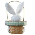 thumbnail image 5 of 9.5" Easter Bunny and Basket, 5 of 5
