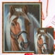 thumbnail image 1 of Kit Bordado Punto Cruz 3 Hebras Caballo Marrón Contado 11CT Bricolaje Blanco, 1 of 9