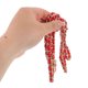 thumbnail image 4 of SOPOTUTU Roja Para Bolso Con Metálico Y Ajustable Para Reemplazo Y Uso Cruzado, 4 of 8