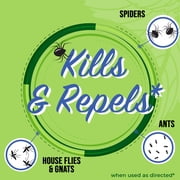 Mighty Mint Gallon (128 oz) Insect and Pest Repellent Peppermint Oil - Natural Spray for Spiders, Ants, and More
