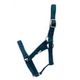 thumbnail image 3 of Jeffers Nylon Adult Miniature Horse Halter| Adult | Under 300 lb | Dark Green, 3 of 4