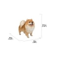 thumbnail image 3 of Hi-Line Gift 13" Pomeranian Dog Garden Statue, 3 of 8