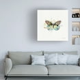 thumbnail image 3 of Katie Pertiet 'Thoughtful Butterflies III' Canvas Art, 3 of 3
