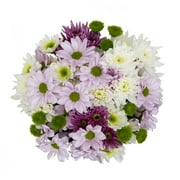 Mother's Day Rainbow Poms (Fresh Cut Flowers)