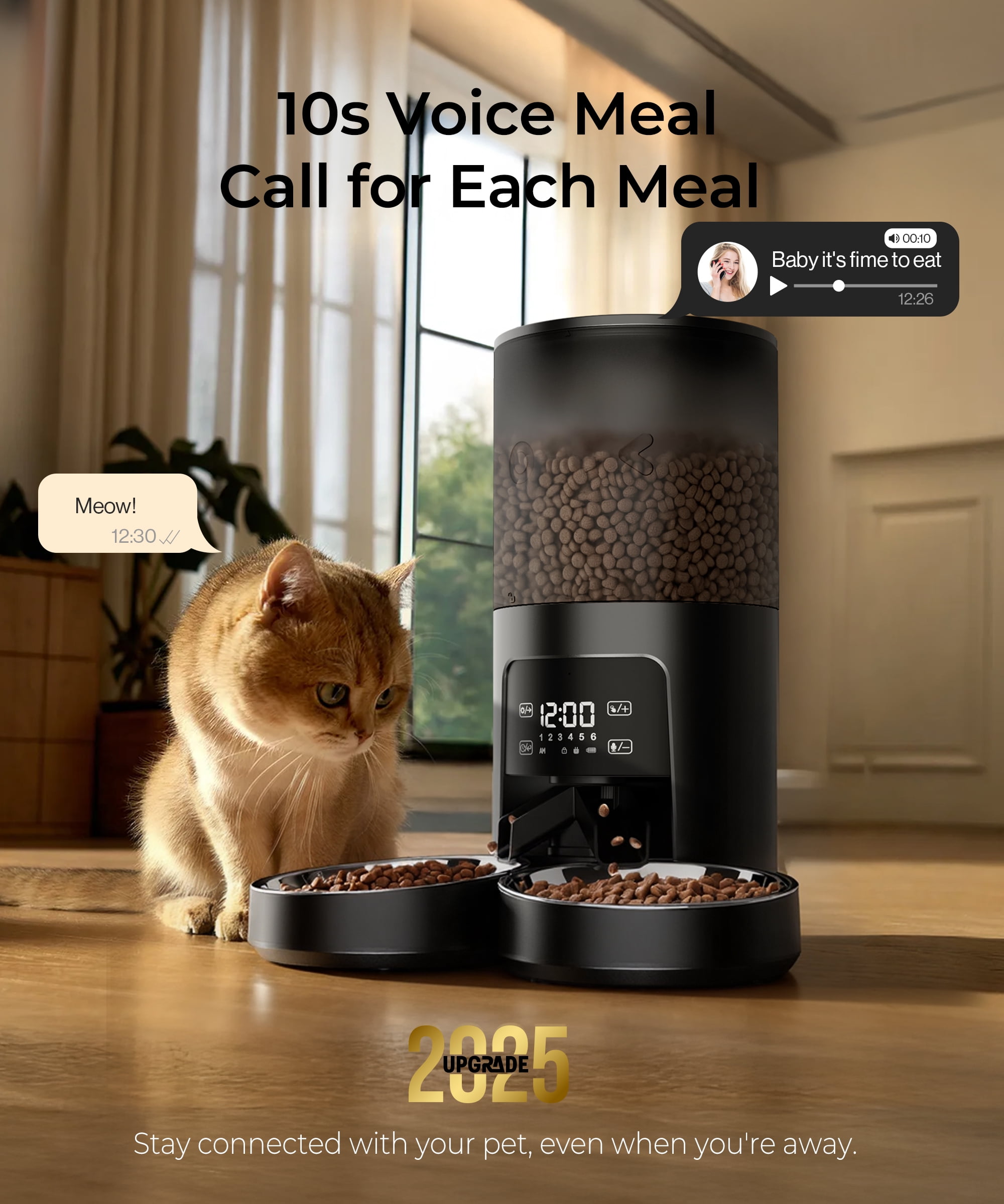Tolobeve Automatic Cat Feeder for 2 Cats, 2-Way Splitter Timed Cat Dry Food Dispenser with 2 Bowls