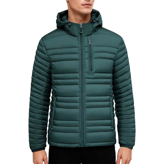 Ceisia Men's Winter Warm Stand Collar Zipper Cardigan with Pockets Windproof Water Gift Repellent Lightweight Puffer Jacket