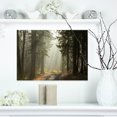 thumbnail image 1 of Dark Green Forest with Sun Rays - Landscape Photography Canvas Print, 1 of 3