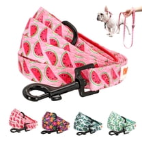 Didog 5ft Long Dog Leash Lead for Small Medium Large Dogs with Handle Flower Pattern