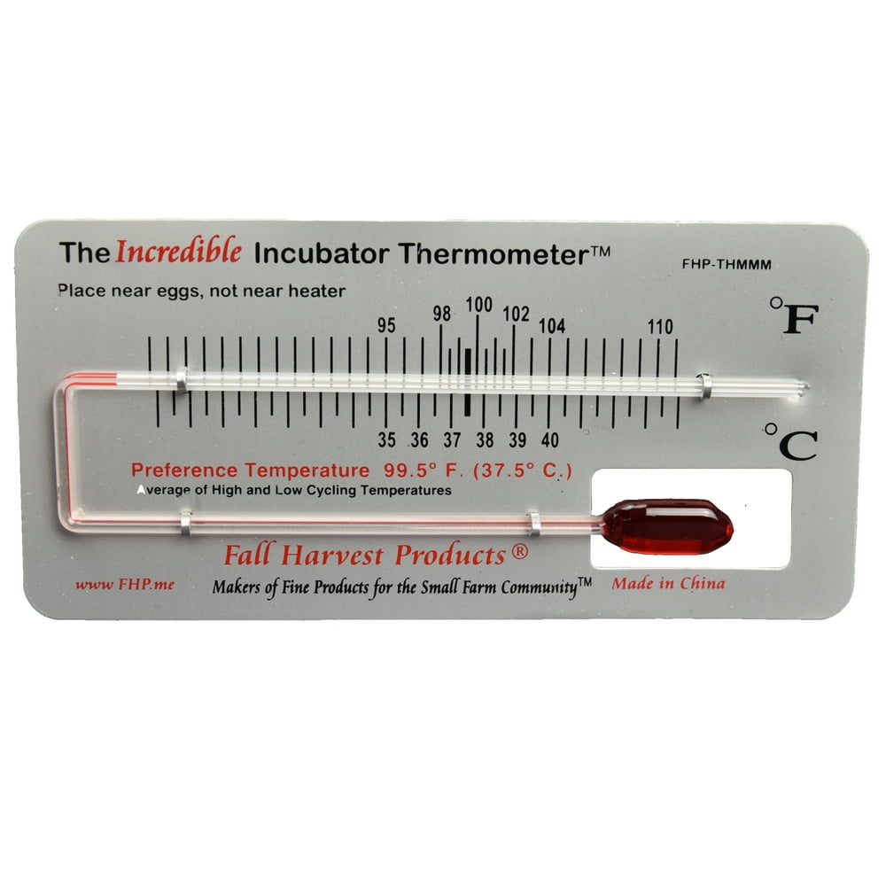 Incredible Incubator Thermometer