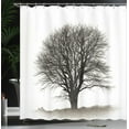 thumbnail image 4 of Ambesonne Grey Shower Curtain, Fall Tree Monochrome Art, 69"Wx70"L, Beige Black, 4 of 5